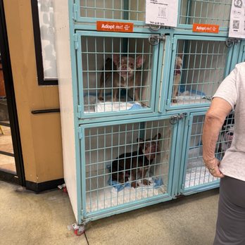 PetSmart - Pet Stores Near Me - Pembroke Pines, Florida