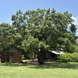 Stephenville Historical House Museum - Log cabins