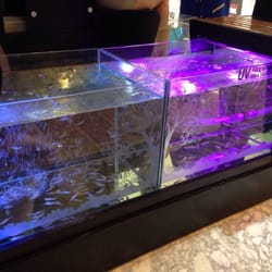 Wayan Fish Spa - Fish Spa
