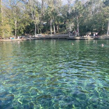 Wekiwa Springs State Park - Parks Near Me - Apopka, Florida Wekiwa Springs State Park - Parks Near Me - Apopka, Florida