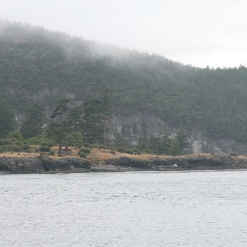 Outer Island Expeditions - The fog makes it magical - Fishing Near Me - Eastsound, Washington