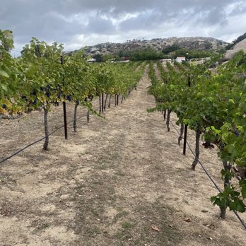 Hatfield Creek Winery - Wine Tasting Room Near Me - Ramona, California