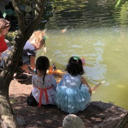 Little Fox Bilingual Preschool & Academy - Field trip