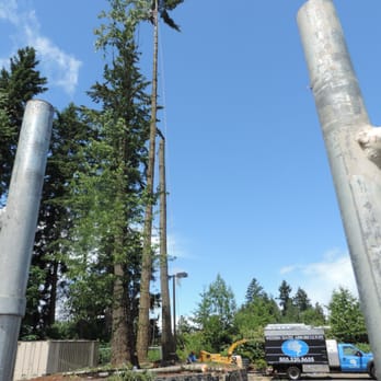 Western States Arboriculture - Tree Services Near Me - Tualatin, Oregon Western States Arboriculture - Tree Services Near Me - Tualatin, Oregon