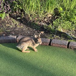 Interbay Golf Center