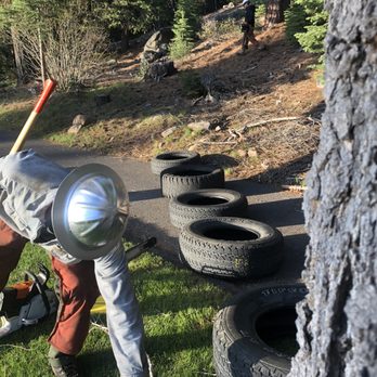 Deadwood Forestry - Tree Services Near Me