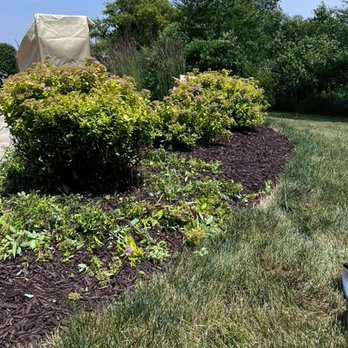 Frontyard Fades - bush trimming - Landscaping Near Me