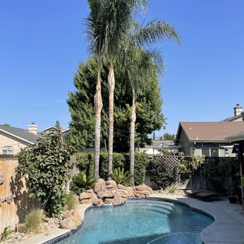 Central Valley Landscape & Tree - Beautiful job on these Queen Ann Palms! - Tree Services Near Me - Modesto, California