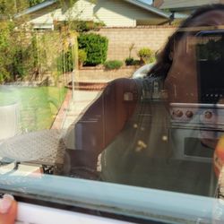 Sureguard Windows - Secks in between the panes!