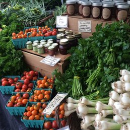 a variety of vegetables a variety of vegetables