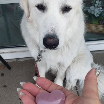 Sacred Ground - Mr Troika and a new rose quartz crystal - Spiritual Shop Near Me - Arlington Heights, Illinois Sacred Ground - Mr Troika and a new rose quartz crystal - Spiritual Shop Near Me - Arlington Heights, Illinois