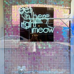 Meowy Jane - Cute sign outside signaling you've found the right place :)