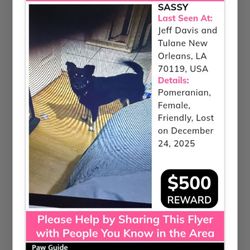 Big Easy Animal Rescue