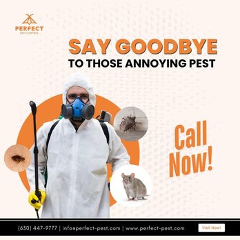 Perfect Pest Control - Say goodbye to those annoying pests! Keep your home and business pest-free with Perfect Pest Control Call us now . - Pest Control Near Me - Hanover Park, Illinois Perfect Pest Control - Say goodbye to those annoying pests! Keep your home and business pest-free with Perfect Pest Control Call us now . - Pest Control Near Me - Hanover Park, Illinois
