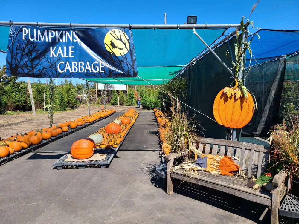 Photos of EAST END TREES Updated August 2024 37 Photos & 22 Reviews