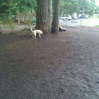 Loganberry Lane Park - Sofie sniffing around - Dog Parks Near Me - Everett, Washington Loganberry Lane Park - Sofie sniffing around - Dog Parks Near Me - Everett, Washington