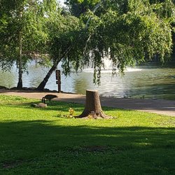 Paradise Recreation Park District