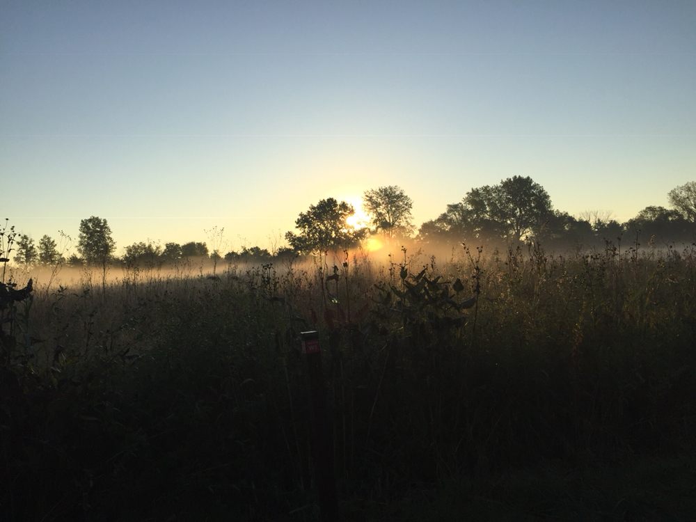 HOMEWOOD IZAAK WALTON PRESERVE Updated September 2024 1100 Ridge Rd
