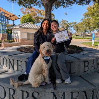 Paws And Reflect Dog Training - Pet Training Near Me