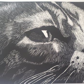 Children's Art Classes - Scratchboard animals - Art Classes Near Me - Cary, North Carolina Children's Art Classes - Scratchboard animals - Art Classes Near Me - Cary, North Carolina