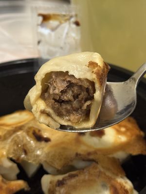 One Bite Dumpling by null
