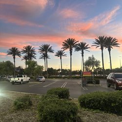 Palm Court - Shopping center vibes