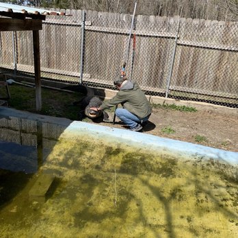 Gulf Coast Gator Ranch & Tours - Tim playing with his buddy "Boudreaux" the blind gator. - Boat Tours Near Me - Moss Point, Mississippi