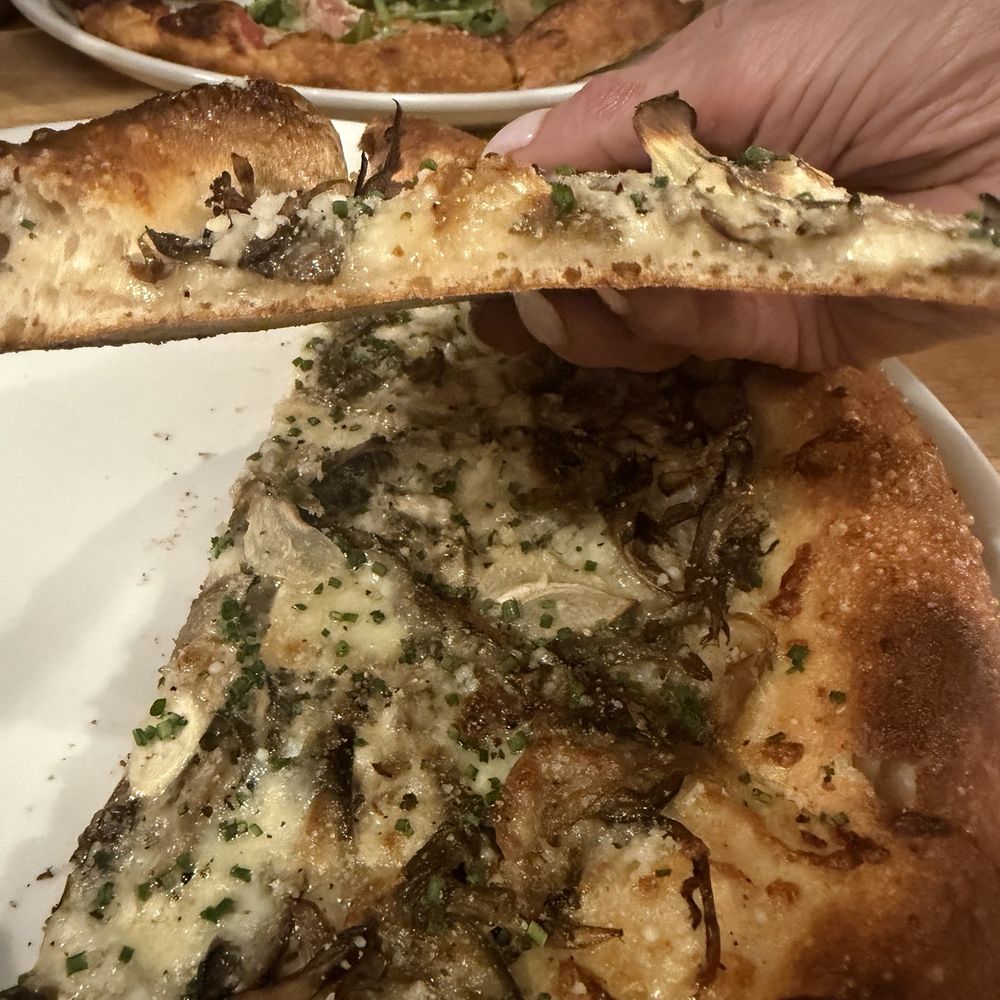 Niedlov's Bakery & Cafe - Mushroom pizza was delicious The crust was perfect. Light and with the perfect amount of crispness. - Bakeries Near Me - Chattanooga, Tennessee Niedlov's Bakery & Cafe - Mushroom pizza was delicious The crust was perfect. Light and with the perfect amount of crispness. - Bakeries Near Me - Chattanooga, Tennessee