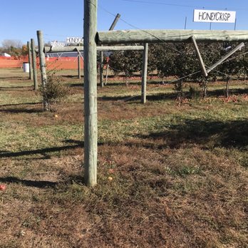 Cody's Farm And Orchard - Fruits & Veggies Near Me - Marengo, Illinois