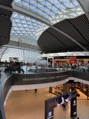 Leonardo da Vinci International Airport by null