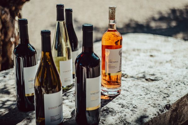 Signor Vineyards by null