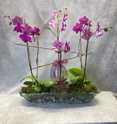 Mrs. DeHaven's Flower Shop by null