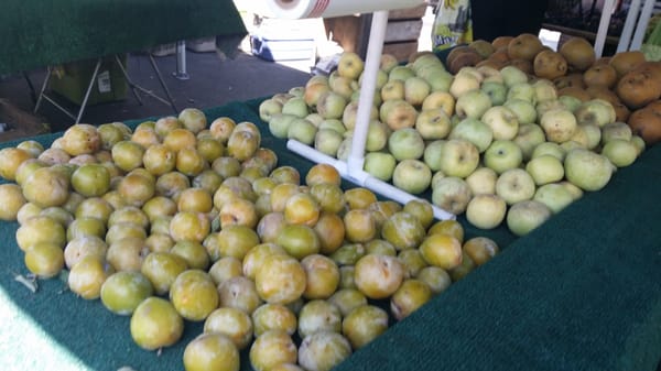 Montrose Farmers Market by null