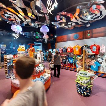 Sea Life - Aquariums Near Me - Orlando, Florida Sea Life - Aquariums Near Me - Orlando, Florida