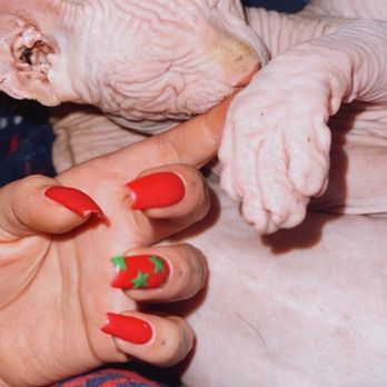Kim’s Nails and Spa - Nail Salons Near Me - Canoga Park, California