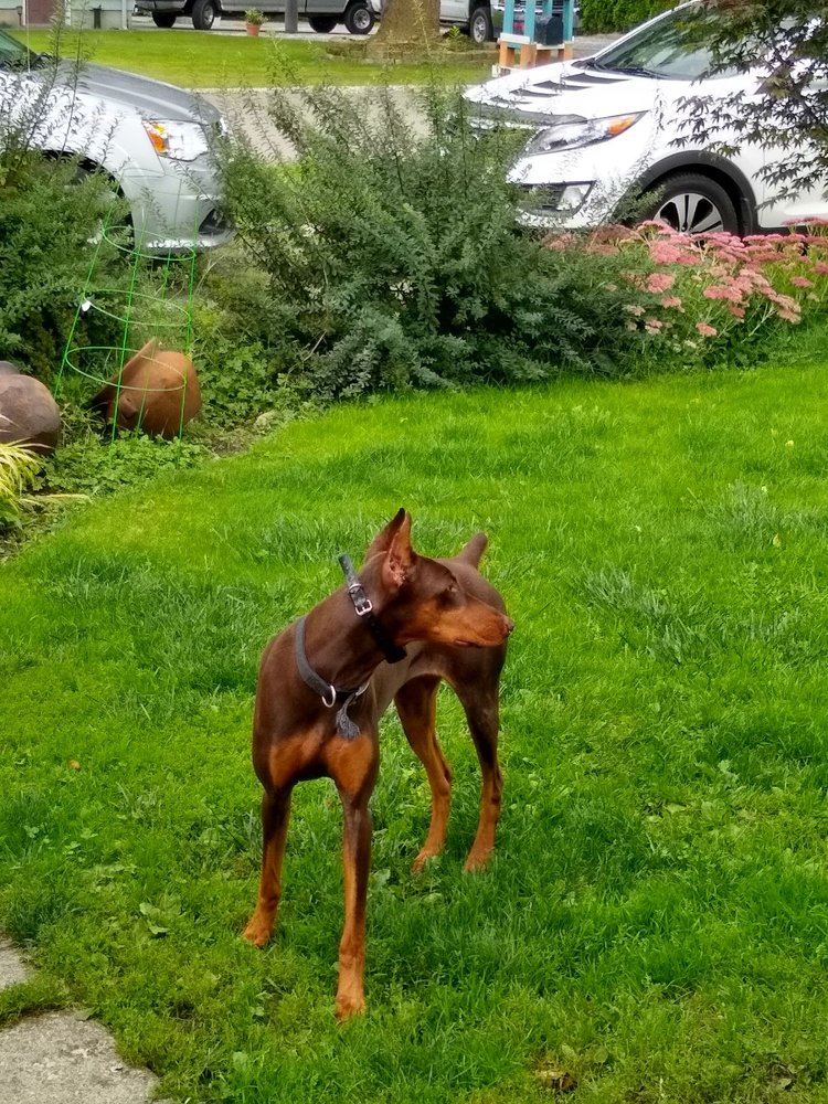 WFC COUNTRY STORE Updated September 2024 102 Nooksack Ave, Nooksack