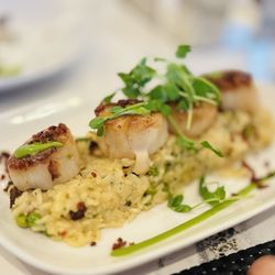 Black & Blue Steak and Crab - s Sea Scallops