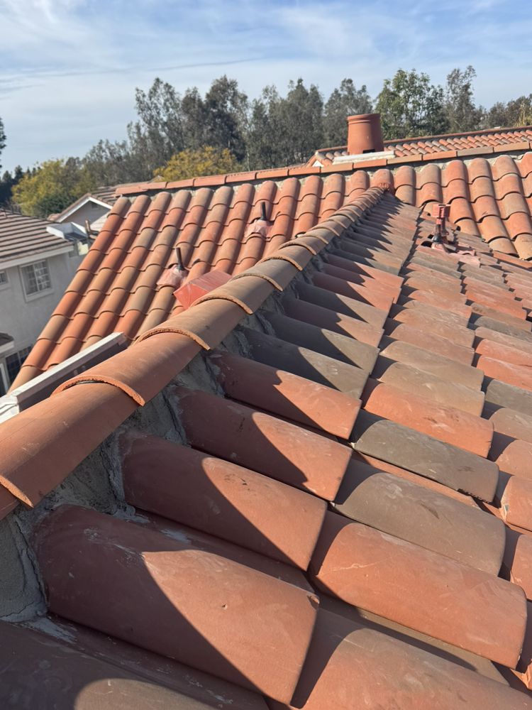 Slide of Carlos Martinez 