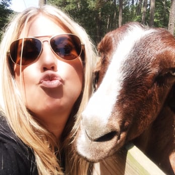 Holly Lake Campsite - The love is mutual. The obsession is real. A fantastic, unexpected treat! - Campgrounds Near Me - Millsboro, Delaware Holly Lake Campsite - The love is mutual. The obsession is real. A fantastic, unexpected treat! - Campgrounds Near Me - Millsboro, Delaware