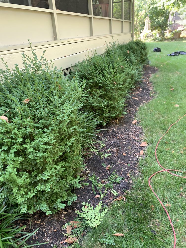 Slide of The 3 Rule Handyman