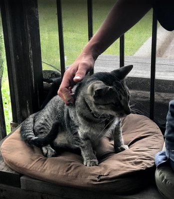 The Oxbow Tavern by null