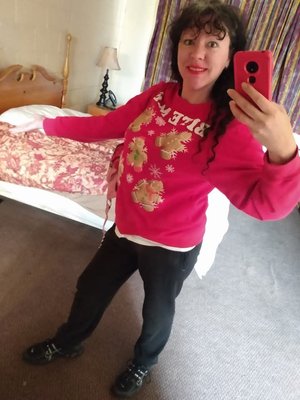 Island Motor Inn by null