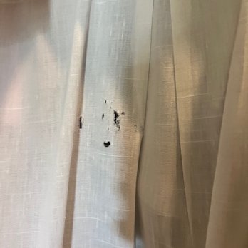 Phoenix Cleaners - Dry Cleaning Near Me - Spicewood, Texas Phoenix Cleaners - Dry Cleaning Near Me - Spicewood, Texas