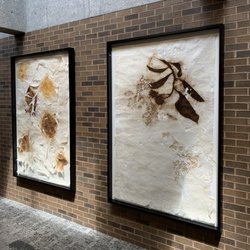 Olson-Larsen Galleries - Client installation view.