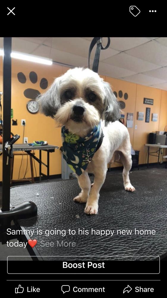 PAWZNCLAWZ Updated August 2024 7200 Eastern Ave, Baltimore