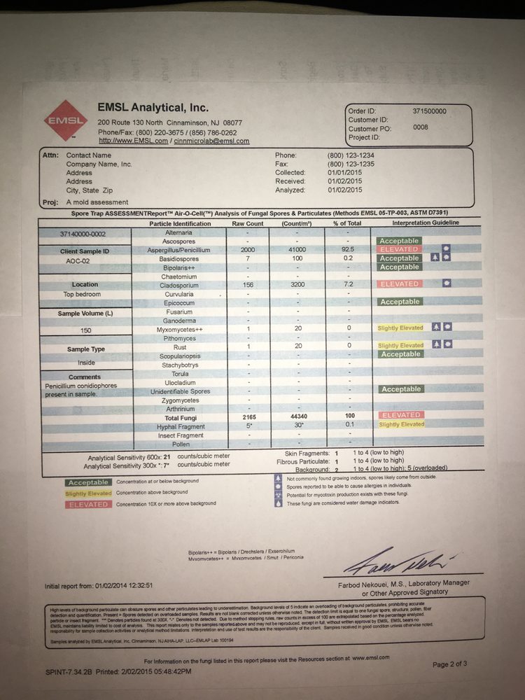 Ron Lazar Home Inspections - mold inspector in Iselin, NJ