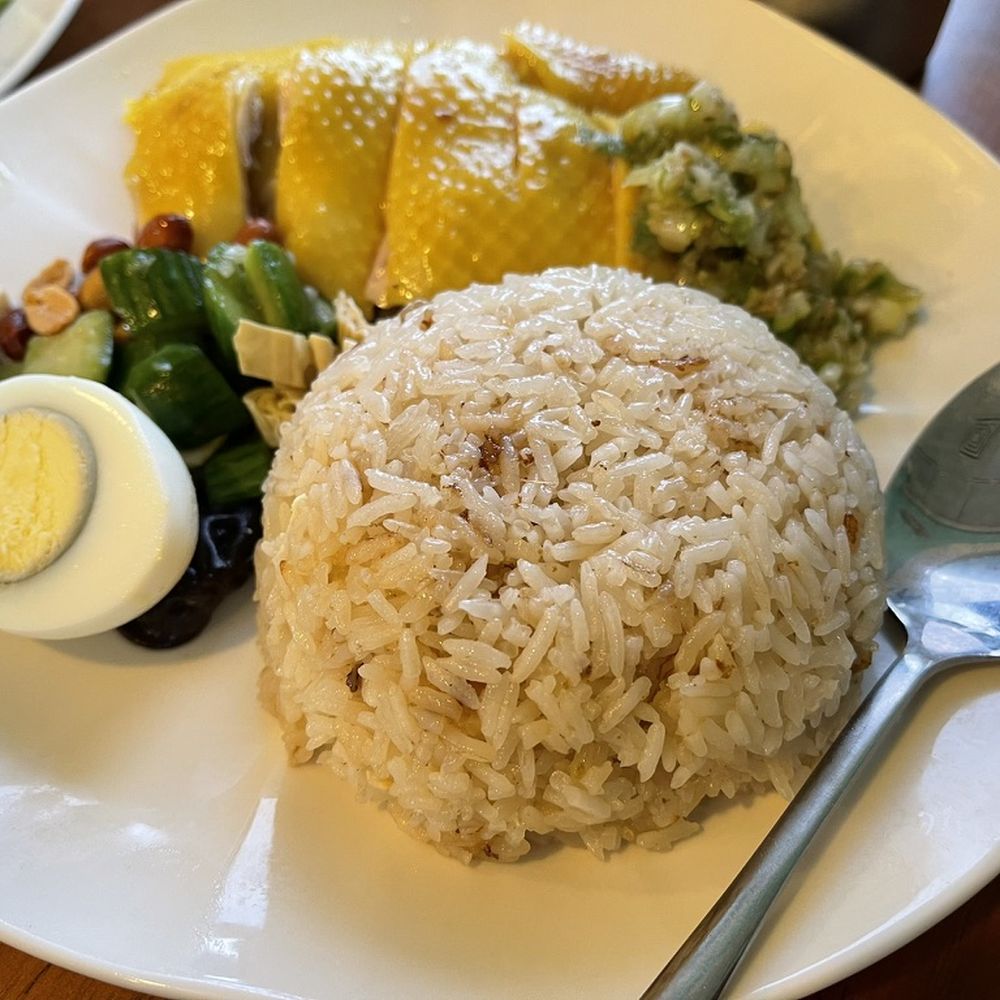 Garden Kitchen - House Special Hainan Chicken over rice at Garden Kitchen in San Bruno. - Chinese Near Me - San Bruno, California