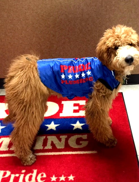 Slide of Pride Plumbing Services