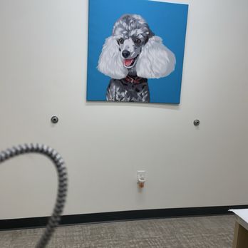 UrgentVet - Crestview - Wall - Veterinarians Near Me - Austin, Texas UrgentVet - Crestview - Wall - Veterinarians Near Me - Austin, Texas