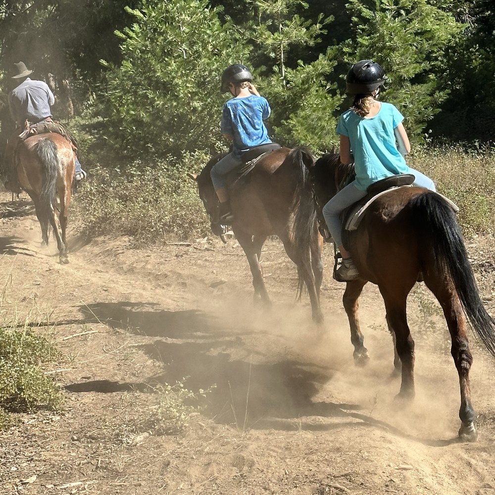 Shaver Stables - Horseback Riding Near Me - Shaver Lake, California Shaver Stables - Horseback Riding Near Me - Shaver Lake, California